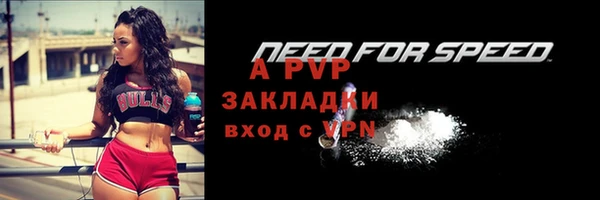 дмт Богородицк
