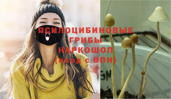 дмт Богородицк