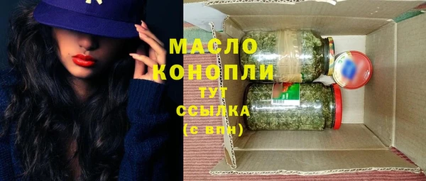дмт Богородицк