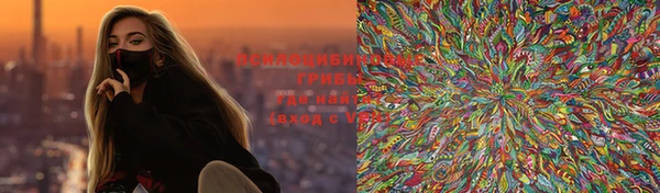соль ск Богданович
