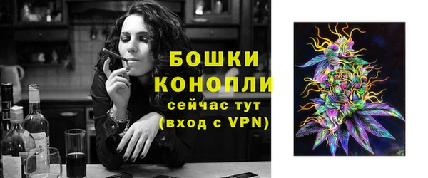 соль ск Богданович